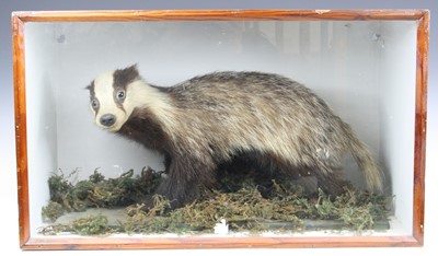 Lot 3633 - A 20th century taxidermy Badger (Meles meles),...