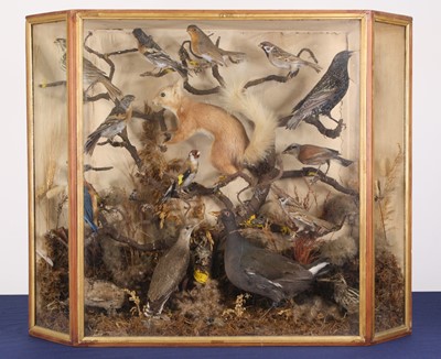 Lot 3608 - An early 20th century taxidermy group of...