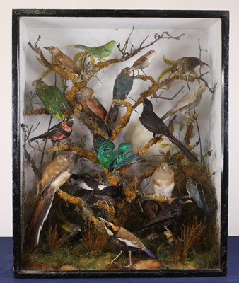 Lot 3672 - A Victorian taxidermy group of eighteen exotic...