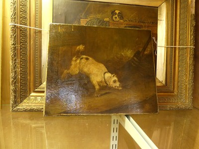 Lot 1075 - After George Arnfield - Terrier ratting, oil...