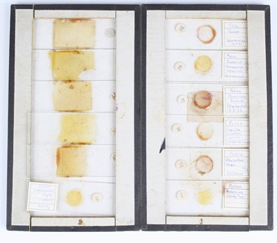 Lot 536 - A folder of botanical microscope slides being...