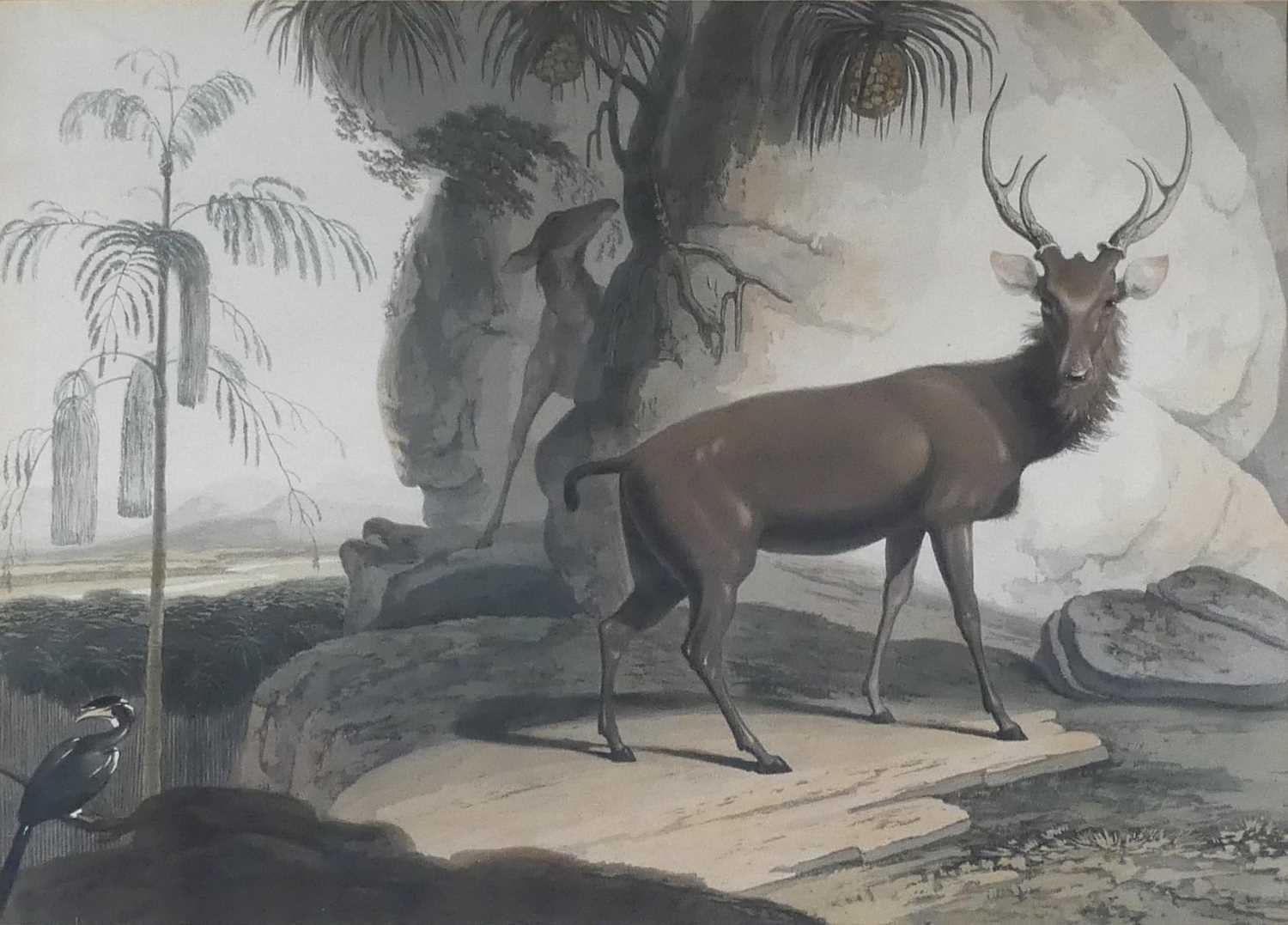 Lot 1139 - After William Daniell (British) (1769-1837) -...