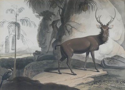 Lot 1139 - After William Daniell (British) (1769-1837) -...