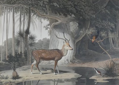 Lot 1139 - After William Daniell (British) (1769-1837) -...