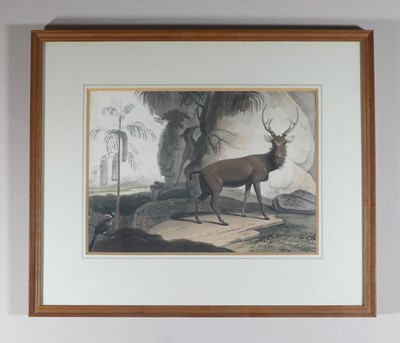 Lot 1139 - After William Daniell (British) (1769-1837) -...