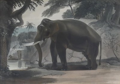 Lot 1139 - After William Daniell (British) (1769-1837) -...