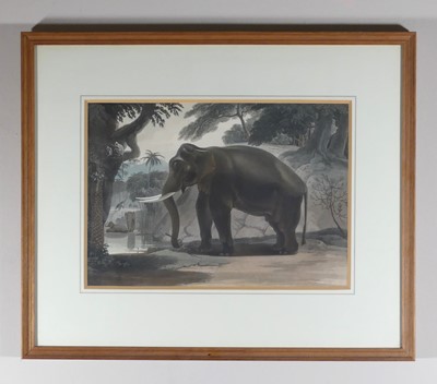 Lot 1139 - After William Daniell (British) (1769-1837) -...