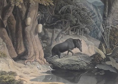 Lot 1139 - After William Daniell (British) (1769-1837) -...