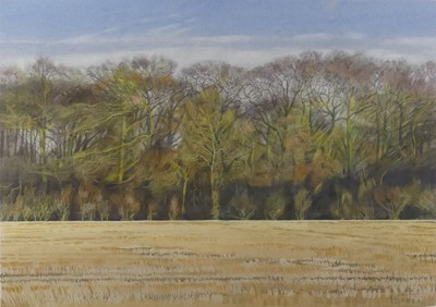 Lot 1174 - Lillias August (b.1955) - Woodland Haze,...