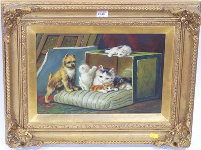 Lot 1040 - English school - Cat family, oil on panel, 26...