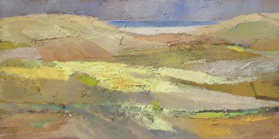 Lot 350 - Terry Bestwick - Valley, palette knife oil on...