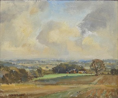 Lot 325 - Owen Waters (1916-2004) - Fields and Sky,...