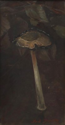 Lot 281 - Fred Dubery (1926-2011) - Shaggy ink cap II,...