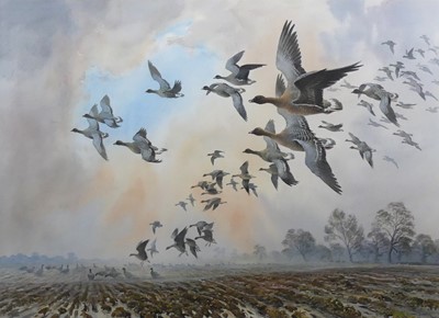 Lot 247 - Carl Donner (b.1957) - Pinkfeet dropping into...