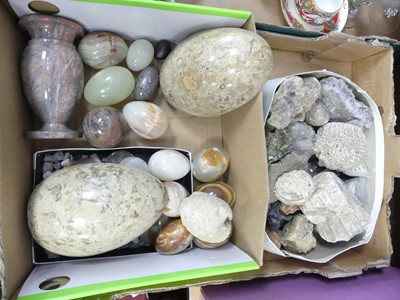 Lot 58 - A collection of fossil and hardstone specimens