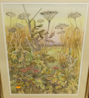 Lot 1033 - Barbara Booth - Hogweed with small...