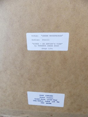 Lot 2522 - Terence James Bond (b.1946) - Green woodpecker,...