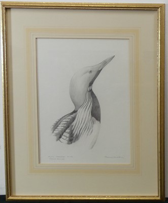Lot 2522 - Terence James Bond (b.1946) - Green woodpecker,...