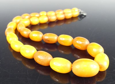 Lot 2304 - A beaded butterscotch amber single string...