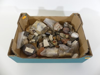 Lot 73 - A collection of mixed fossils and hardstones