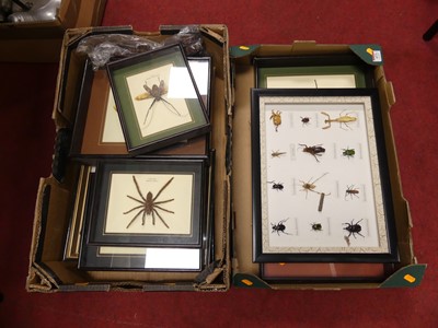 Lot 673 - Two boxes of framed display cases of insects