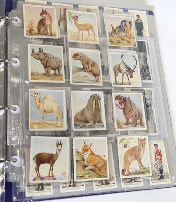 Lot 513 - A collection of cigarette cards, to include...