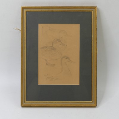 Lot 1105 - After Peter Scott, study of a drake, pencil on...