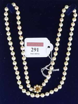 Lot 291 - A cultured pearl knotted single string...