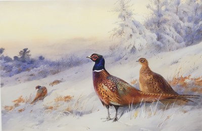 Lot 1005 - Archibald Thorburn (1860-1935) - Pheasants in...