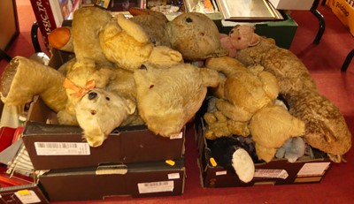 Lot 1671 - Three trays of various plush bears and others