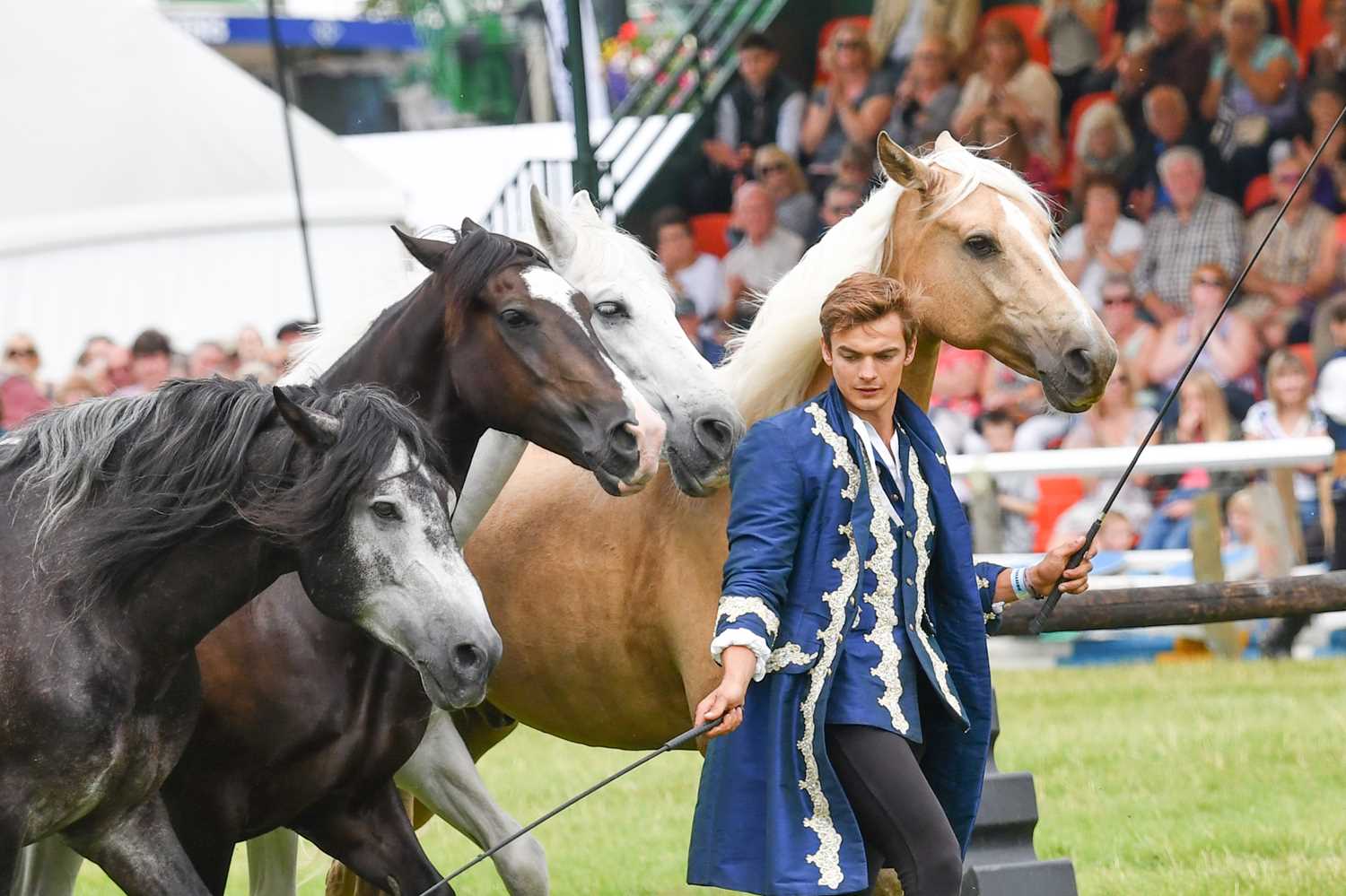 Lot 103 - The Hertfordshire County Show (24 & 25 May...