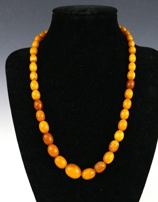 Lot 429 - A beaded butterscotch amber necklace, arranged...