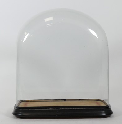 Lot 36 - A Victorian glass dome, upon an ebonised base,...