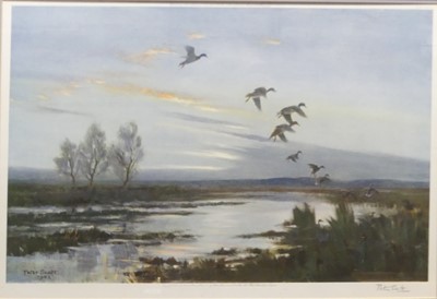 Lot 1016 - Peter Scott - Ducks in flight over the marshes,...