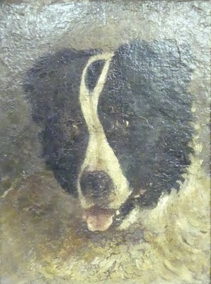 Lot 1097 - 19th century English school - Study of a dog's...