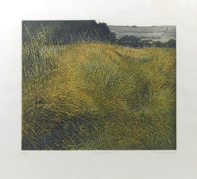 Lot 335 - Phil Greenwood (b.1943) - Spring Grass,...