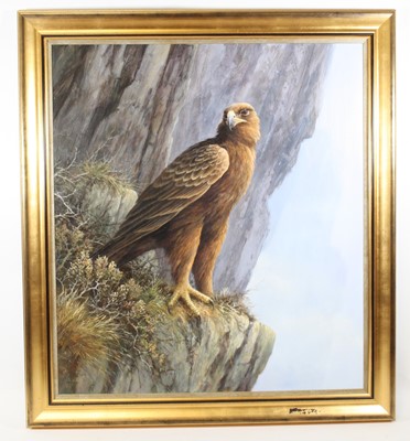 Lot 887 - Neil Cox, (b.1955), Golden Eagle perched on a...