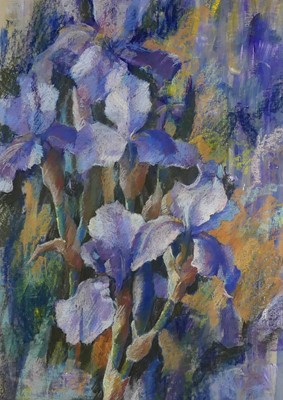 Lot 399 - Ann Wilkinson (1934-2022) - Irises, pastel on...