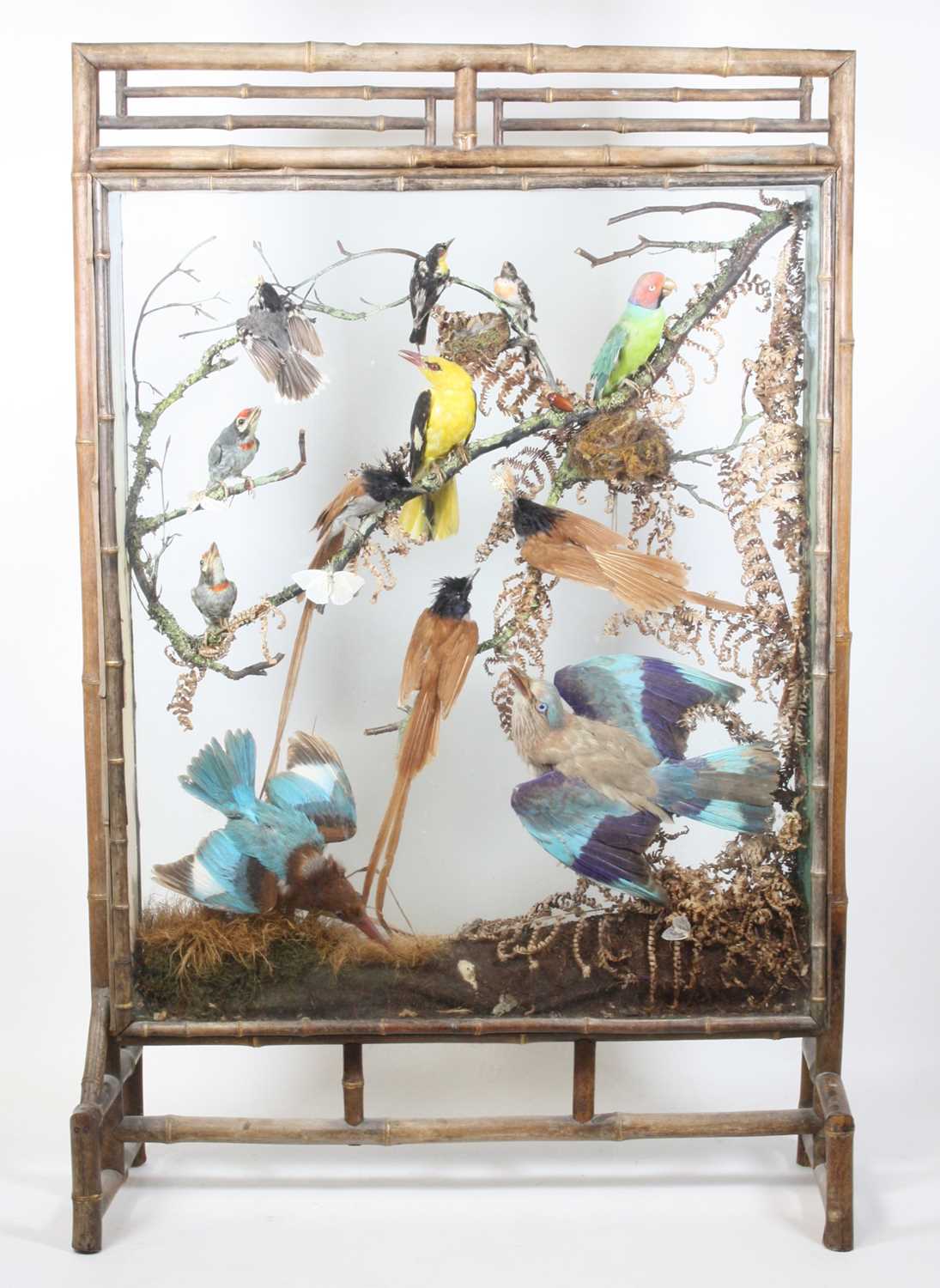 Lot 3693 - A late Victorian taxidermy diorama of Indian...