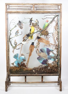 Lot 950 - A late Victorian taxidermy diorama of Indian...