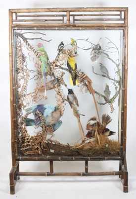 Lot 3693 - A late Victorian taxidermy diorama of Indian...