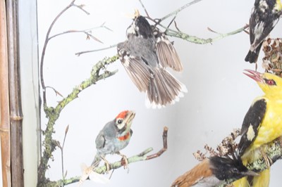 Lot 3693 - A late Victorian taxidermy diorama of Indian...