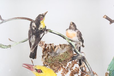 Lot 3693 - A late Victorian taxidermy diorama of Indian...