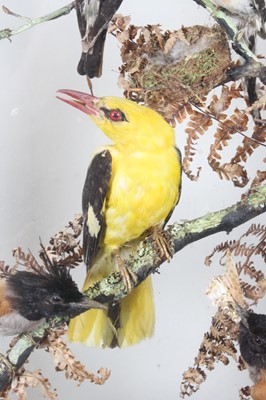 Lot 3693 - A late Victorian taxidermy diorama of Indian...