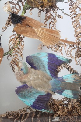 Lot 3693 - A late Victorian taxidermy diorama of Indian...