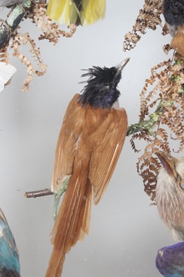Lot 3693 - A late Victorian taxidermy diorama of Indian...