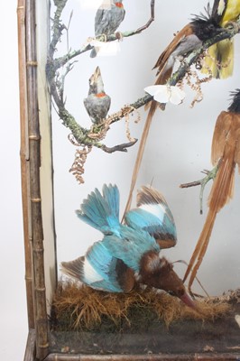 Lot 3693 - A late Victorian taxidermy diorama of Indian...