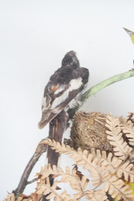 Lot 3693 - A late Victorian taxidermy diorama of Indian...