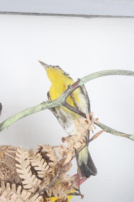 Lot 3693 - A late Victorian taxidermy diorama of Indian...