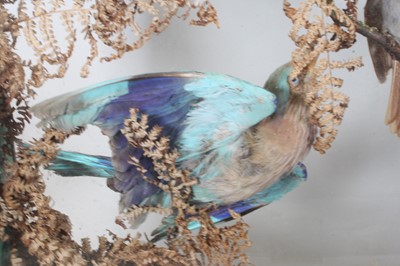 Lot 3693 - A late Victorian taxidermy diorama of Indian...
